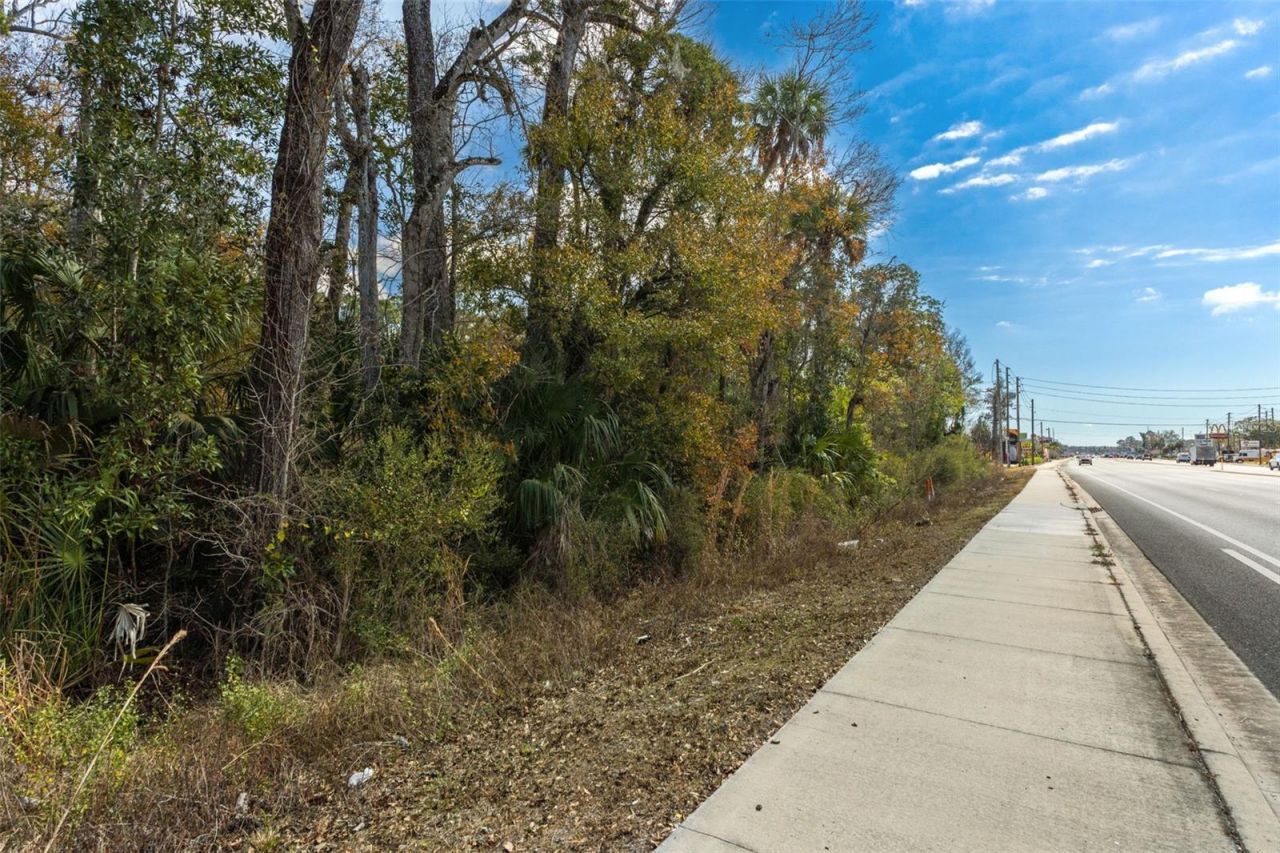 8541 W Faust Lane, Homosassa, FL 34448 Photo