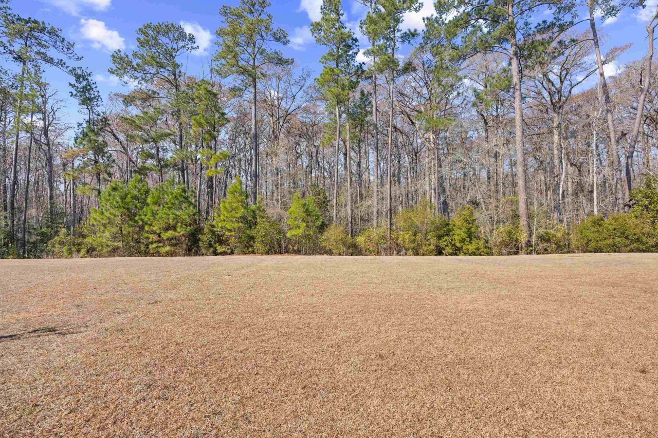 924 Jackline Place  Photo 30