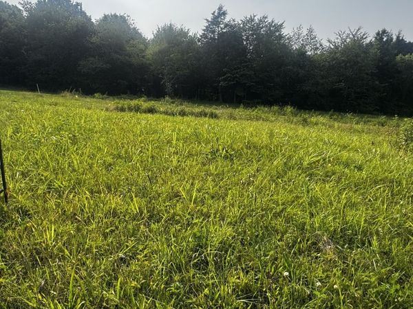 6481 Kelly Willis Rd, Greenbrier, TN 37073