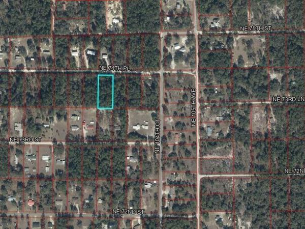 10350 NE 74TH PLACE, BRONSON, FL 32621