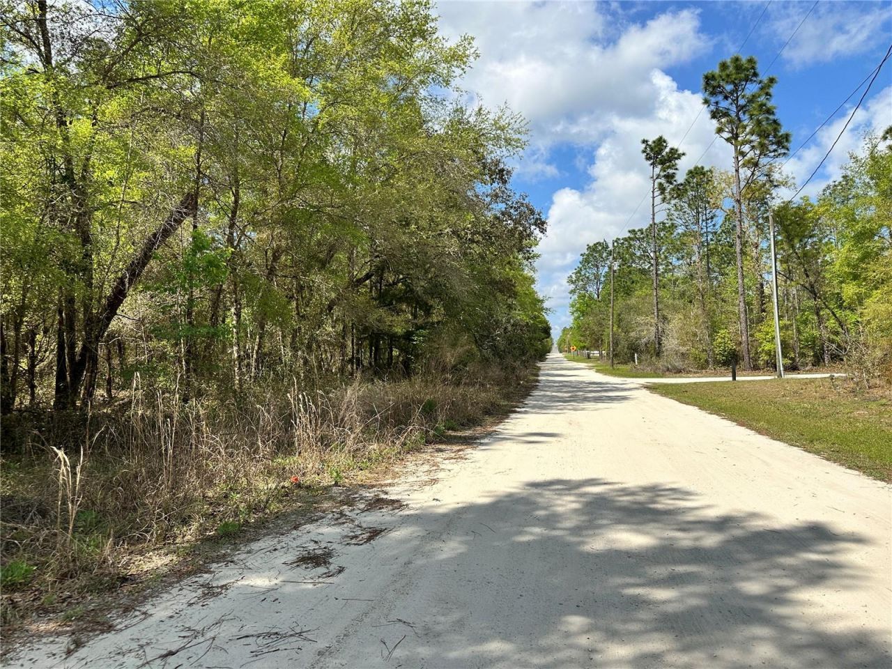 10350 NE 74th Place, Bronson, FL 32621 Photo