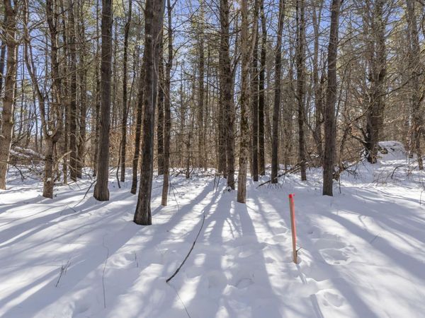 1594 Tatnic Road, Unit Lot A, Wells, ME 04090