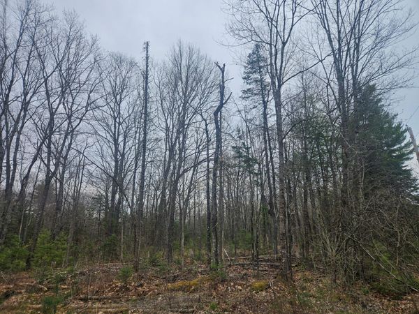 Lot 14-2,3 Perkins Road, Burnham, ME 04922