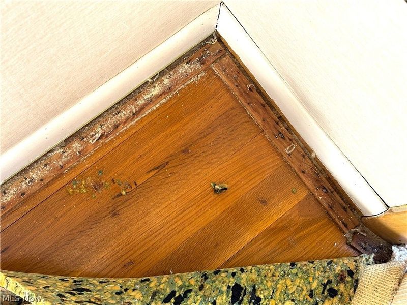 38345 Aurora Road, Solon, OH 44139 Photo 10