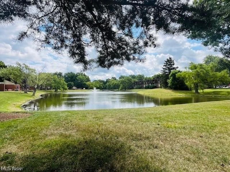 9552 Fernwood Drive, Olmsted Falls, OH 44138 Photo 21