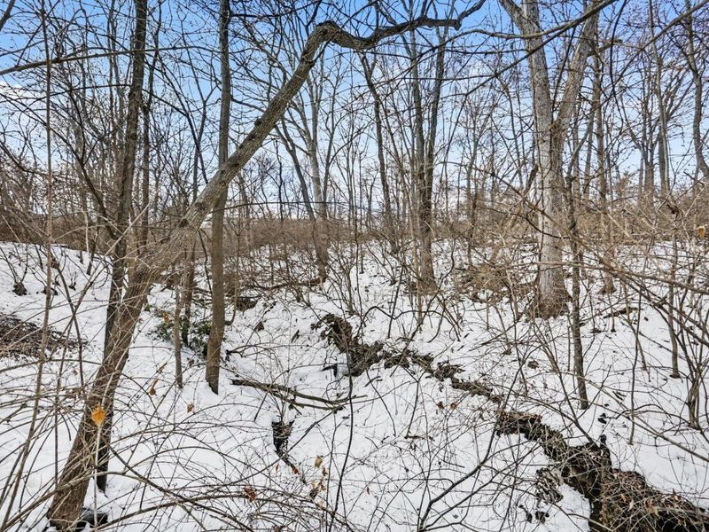 5685 Great Woods Boulevard, Columbus, OH 43231 Photo 27