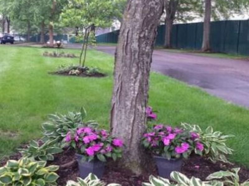 5685 Great Woods Boulevard, Columbus, OH 43231 Photo 31