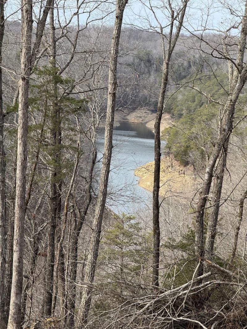 4647 Grider Hill Dock Road, Albany, KY 42602 Main Photo