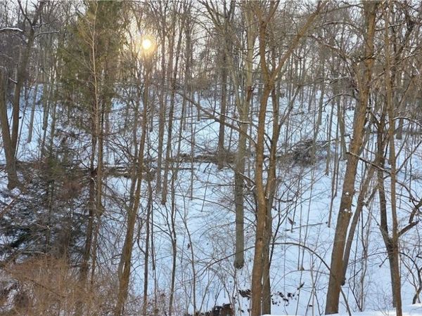 71480 Mercer Road, Martins Ferry, OH 43935