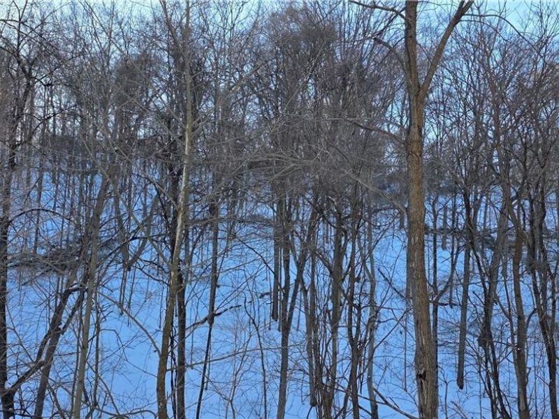 71480 Mercer Road, Martins Ferry, OH 43935 Photo 2