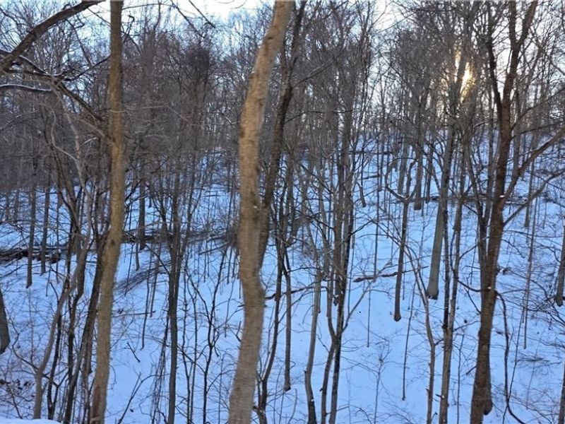 71480 Mercer Road, Martins Ferry, OH 43935 Photo 3