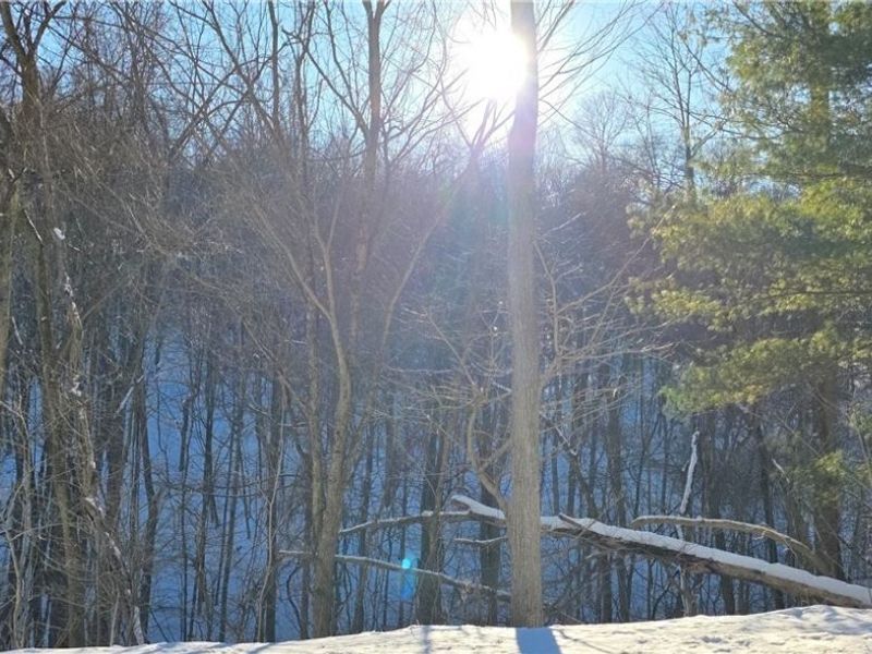 71480 Mercer Road, Martins Ferry, OH 43935 Photo 4