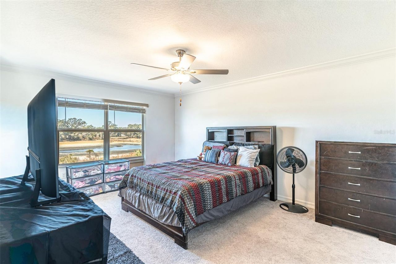7014 Ripple Pond Loop, Zephyrhills, FL 33541 Photo