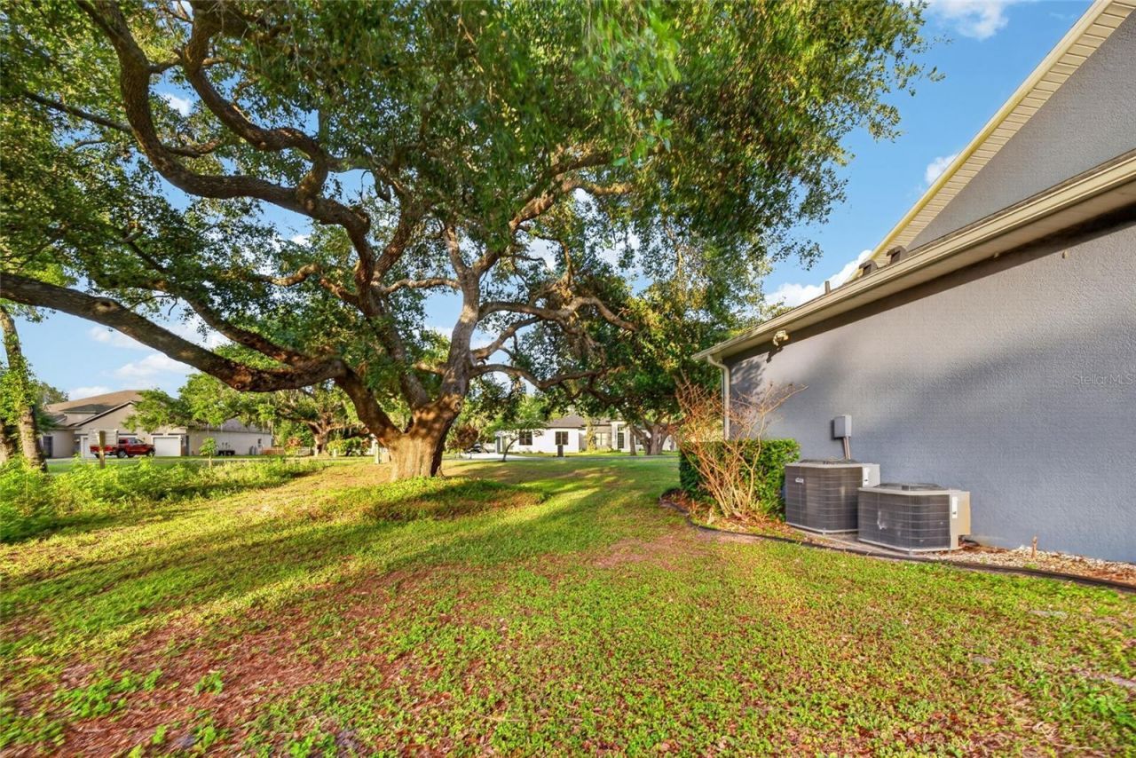 2514 Martucci, Seffner, FL 33584 Photo