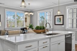 1008 Manarola Road  photo 4