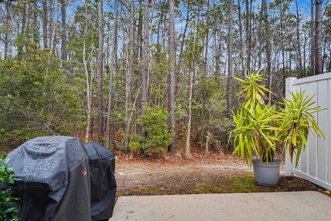 654 Misty Hammock Dr. Photo 28