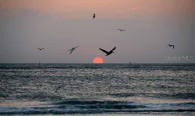 6318 Grand Oak Circle, Unit 201, Bradenton, FL 34203 Photo