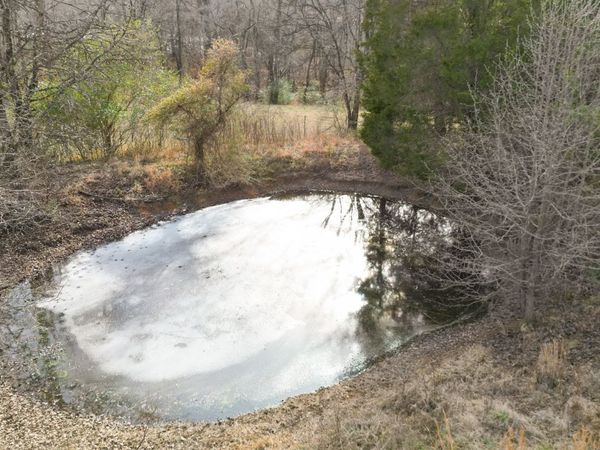 1125 Pleasant Valley Rd , Chapmansboro, TN 37035