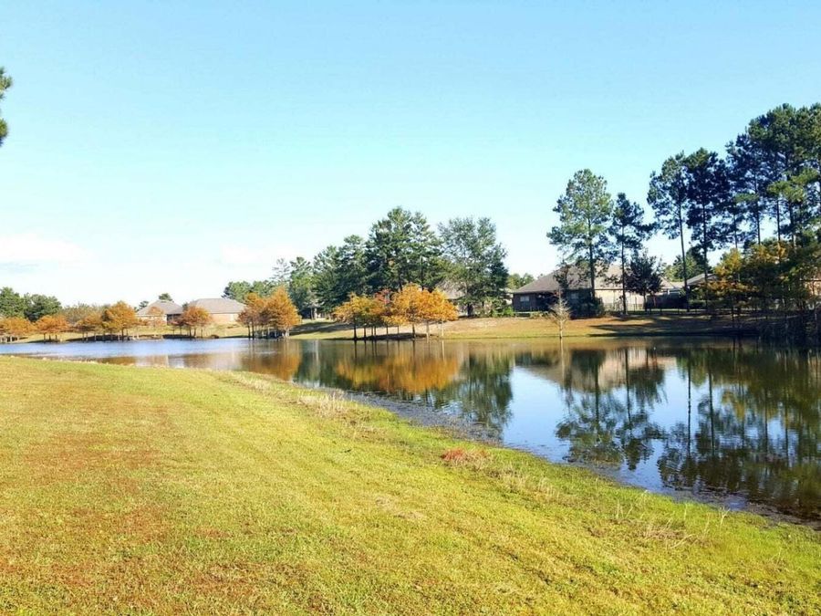 Property Image 63
