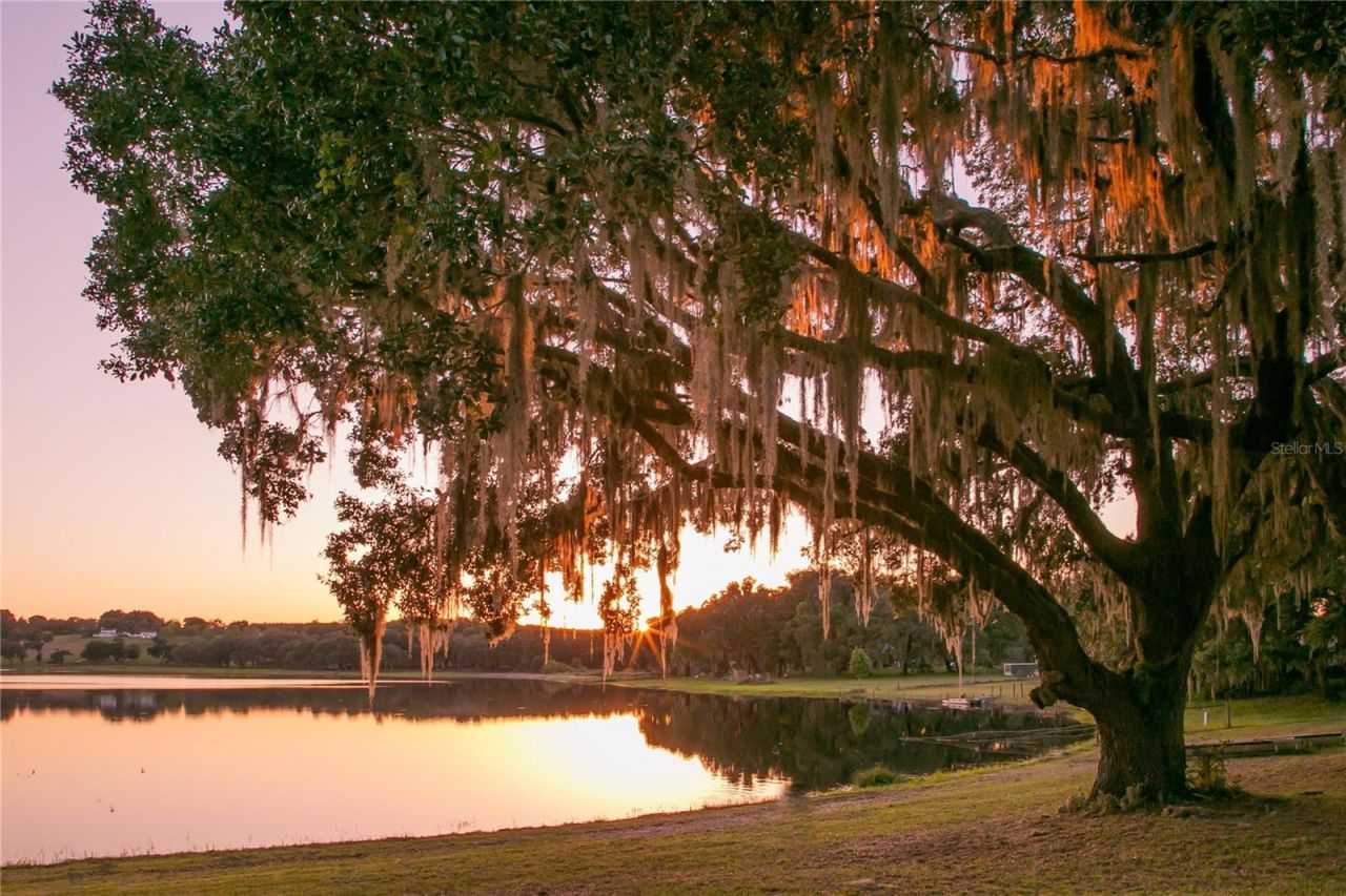 34710 Clayton Road, Dade City, FL 33523 Photo