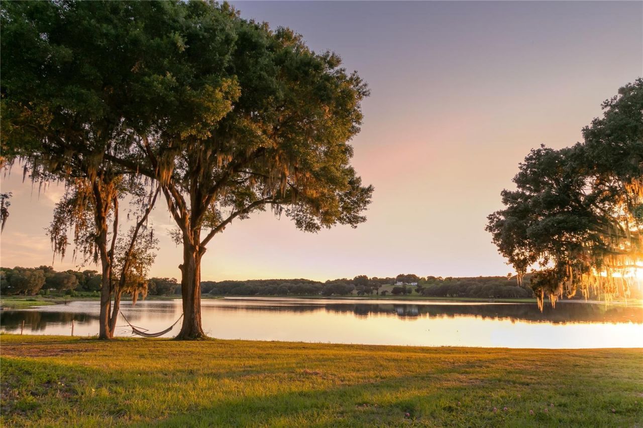 34710 Clayton Road, Dade City, FL 33523 Photo