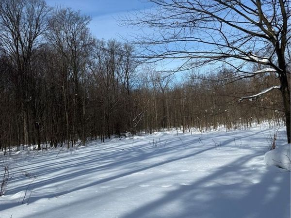 V/L Syler Road, Warsaw, NY 14569