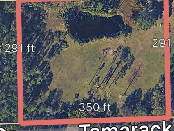 3642 Tamarack Drive, Ormond Beach, FL 32174