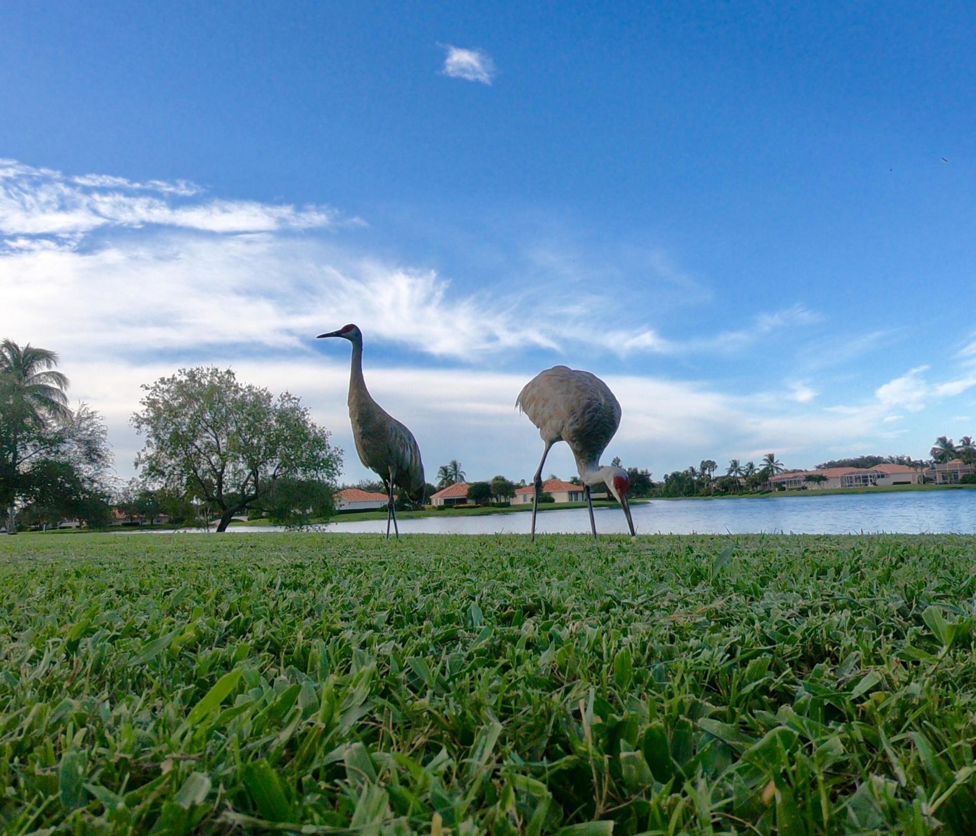 2755 Hancock Creek Road, West Palm Beach, FL 33411 Photo