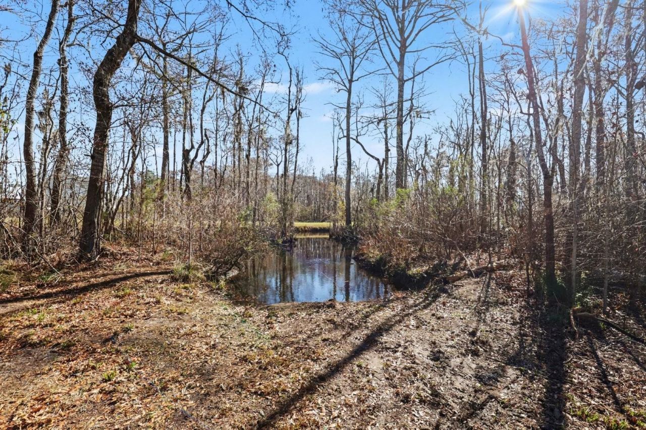 156 Jackson View Pl. Photo 16