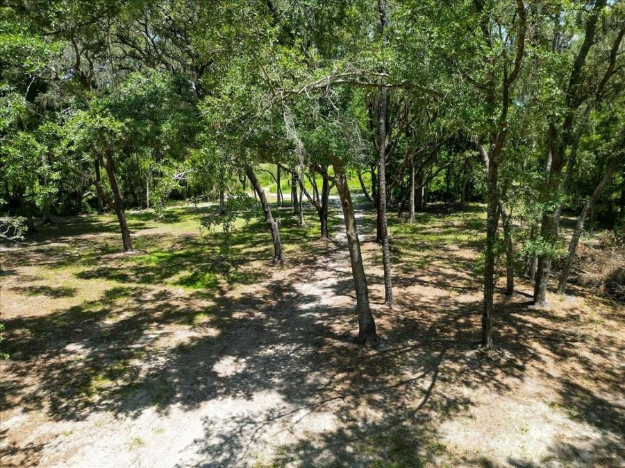 Property Image 58