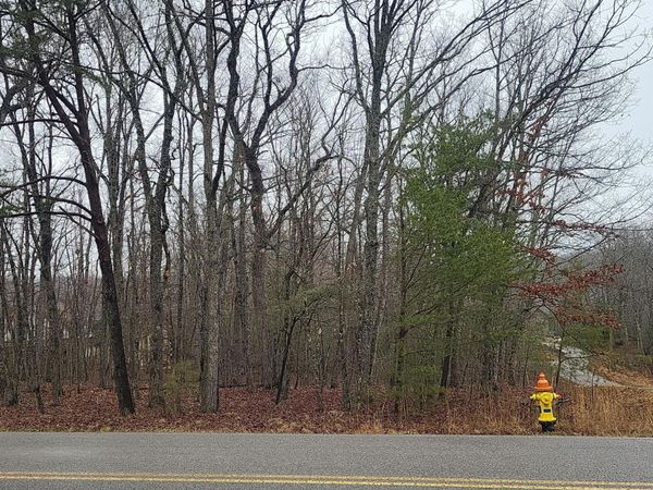 11 Appleby Court, Crossville, TN 38558