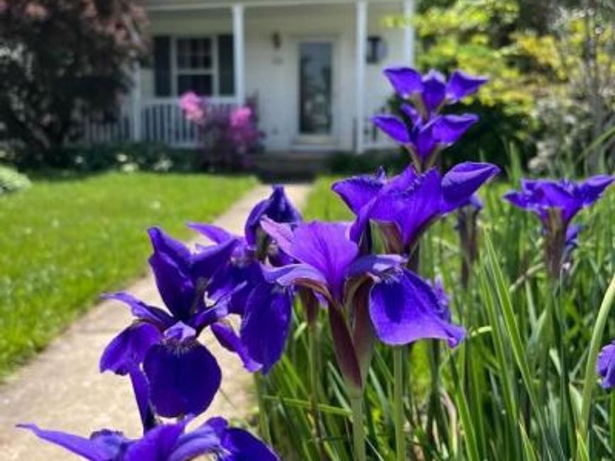 10 Ben Woods Court, Baltimore, MD 21228 Main Photo