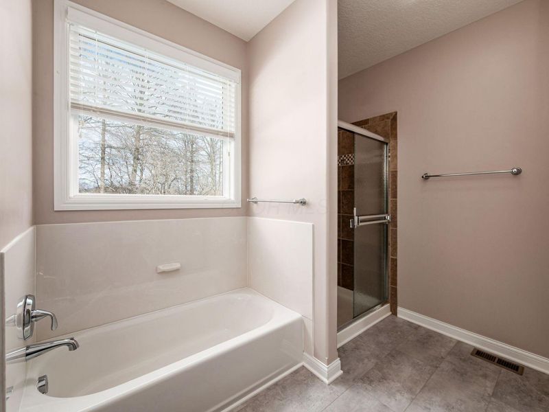 512 Lehner Woods Boulevard, Delaware, OH 43015 Photo 28