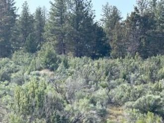 0 Council Butte Beatty, OR 97621