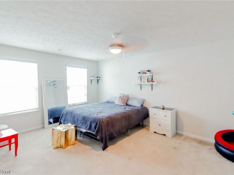 3659 Shady Timber Drive, Twinsburg, OH 44087 Photo 18