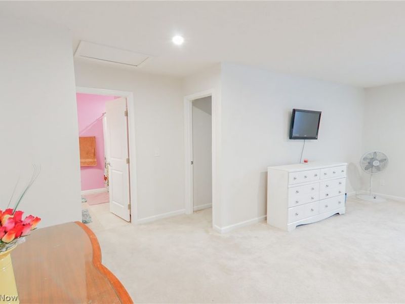 3659 Shady Timber Drive, Twinsburg, OH 44087 Photo 21