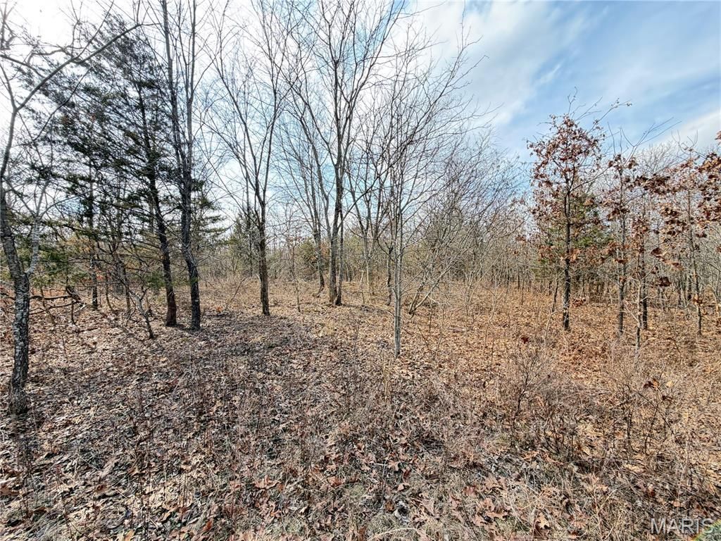 Tbd Dogwood Lane, Saint James, MO 65559 Main Photo