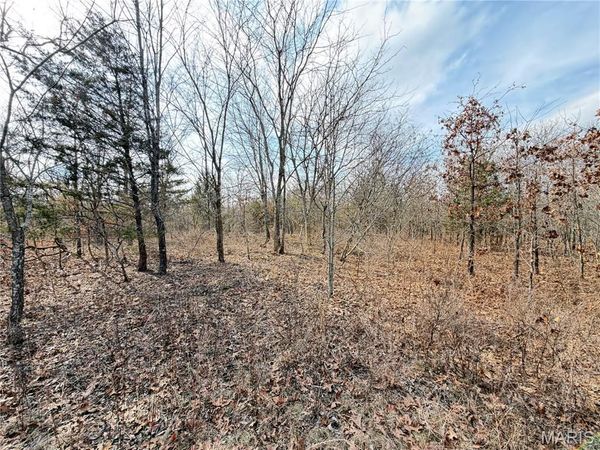 TBD Dogwood Lane, St James, MO 65559