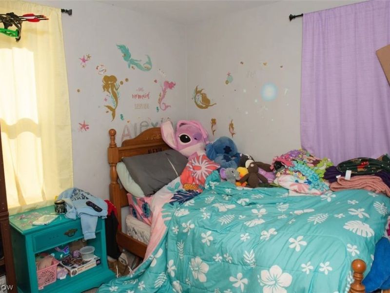 531 Audrey Lane, Struthers, OH 44471 Photo 11