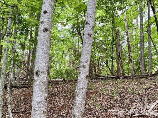 Lot 30 Granny Smith Lane, Lake Lure, NC 28746