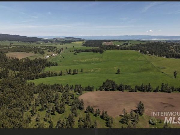 TBD Rieman Rd, CottonWood, ID 83522
