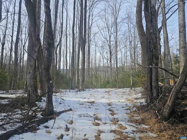 TBD Lot 56G TURKEY RIDGE RD, Unit 56G, STANARDSVILLE, VA 22973