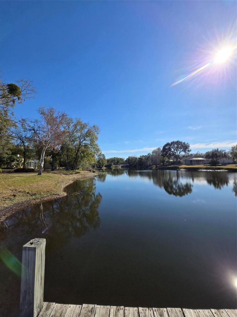 701 Duque Road, Lutz, FL 33549 Photo