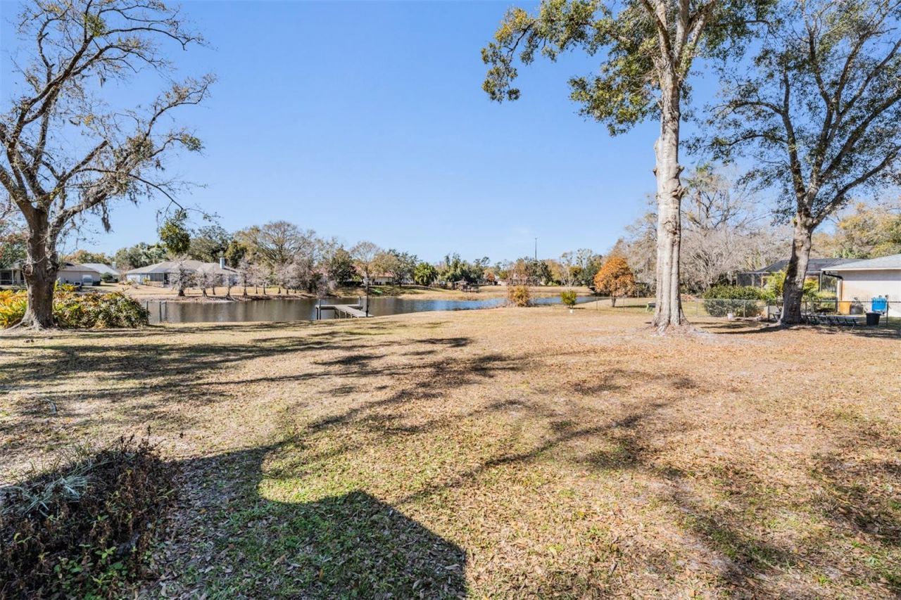 701 Duque Road, Lutz, FL 33549 Photo