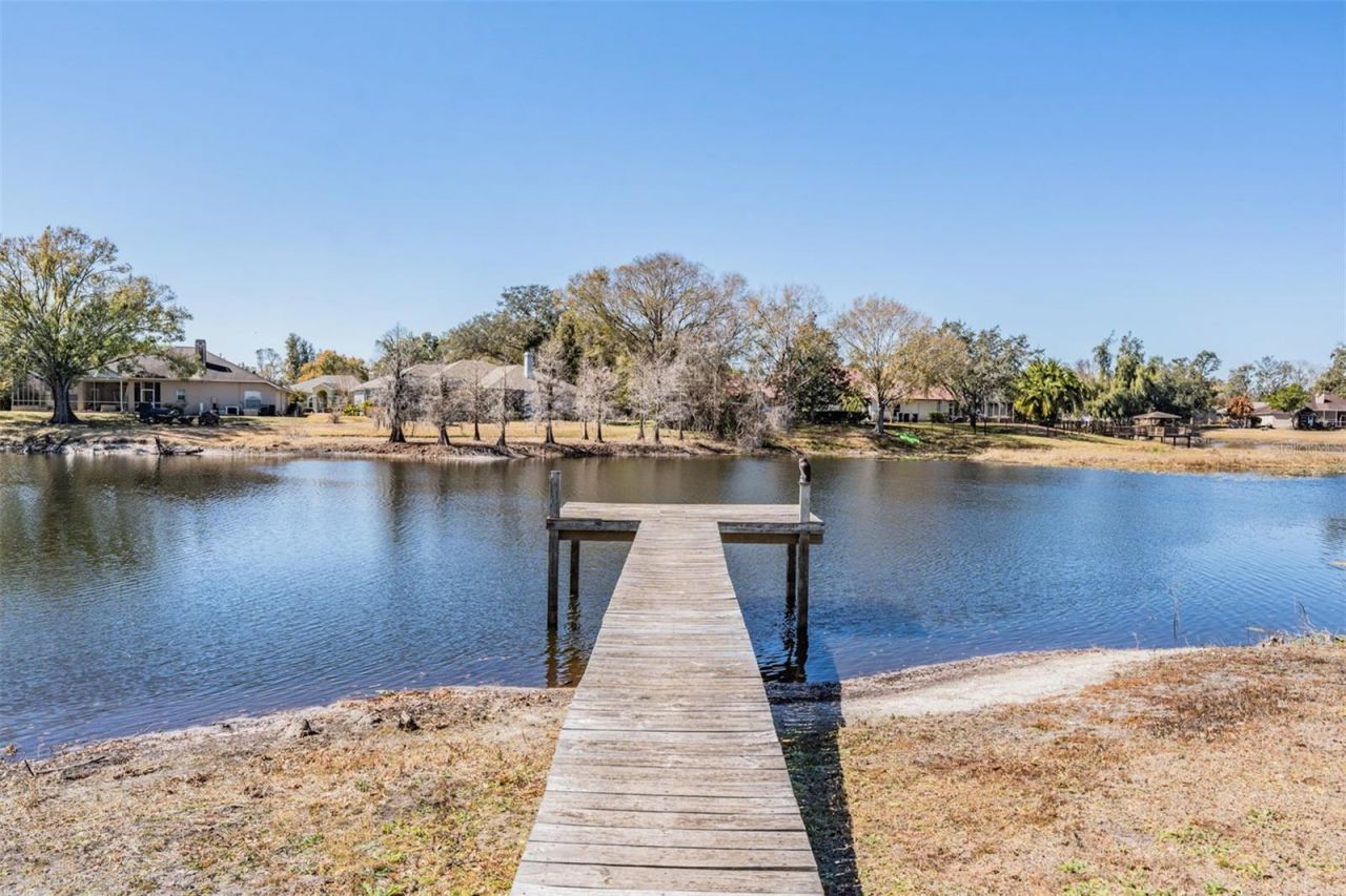 701 Duque Road, Lutz, FL 33549 Photo