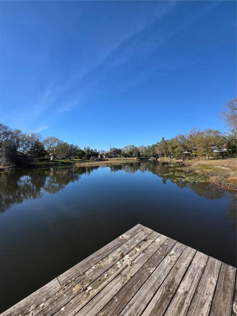 701 Duque Road, Lutz, FL 33549 Photo