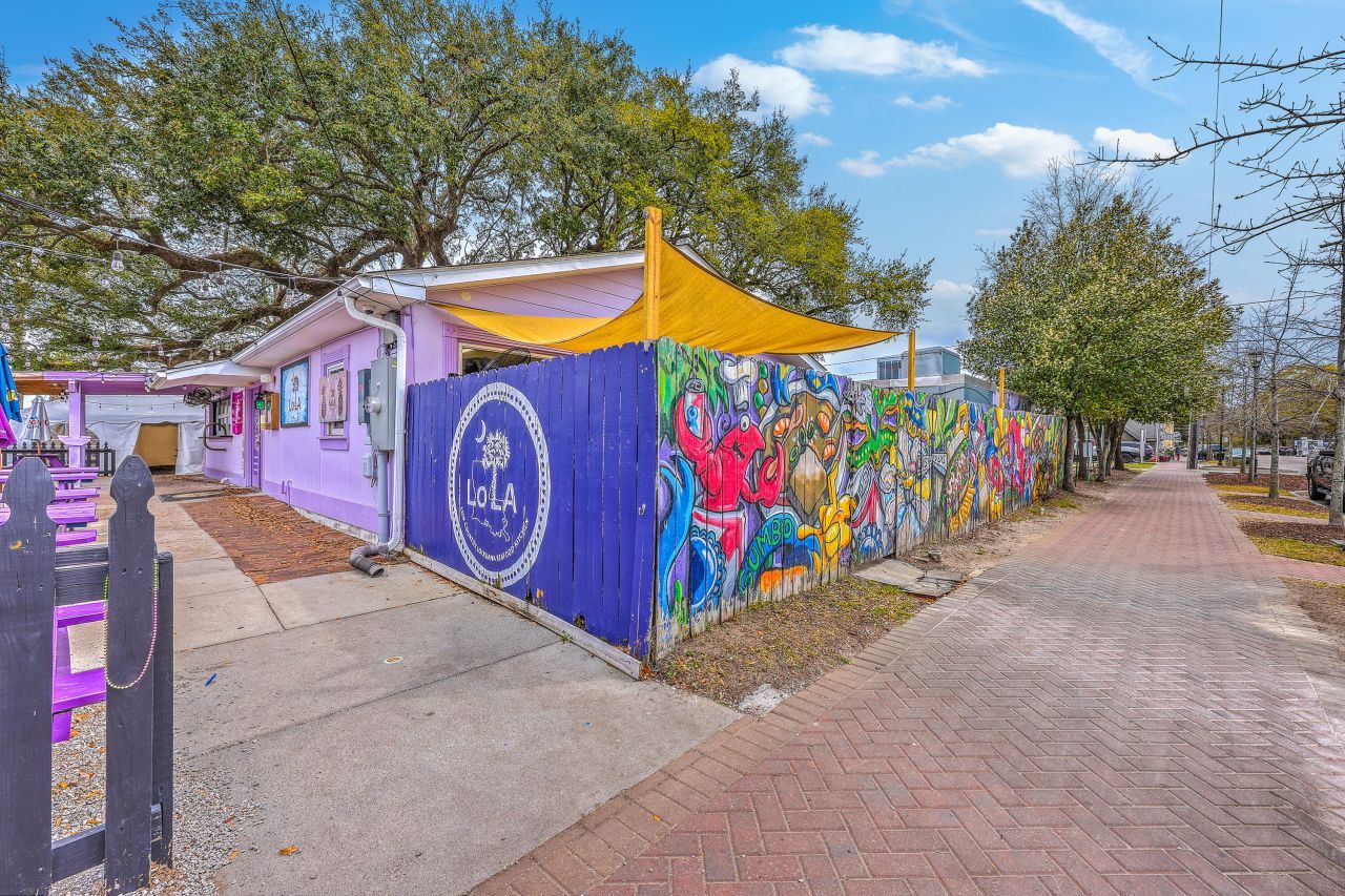 1089 Buist Avenue Photo 41