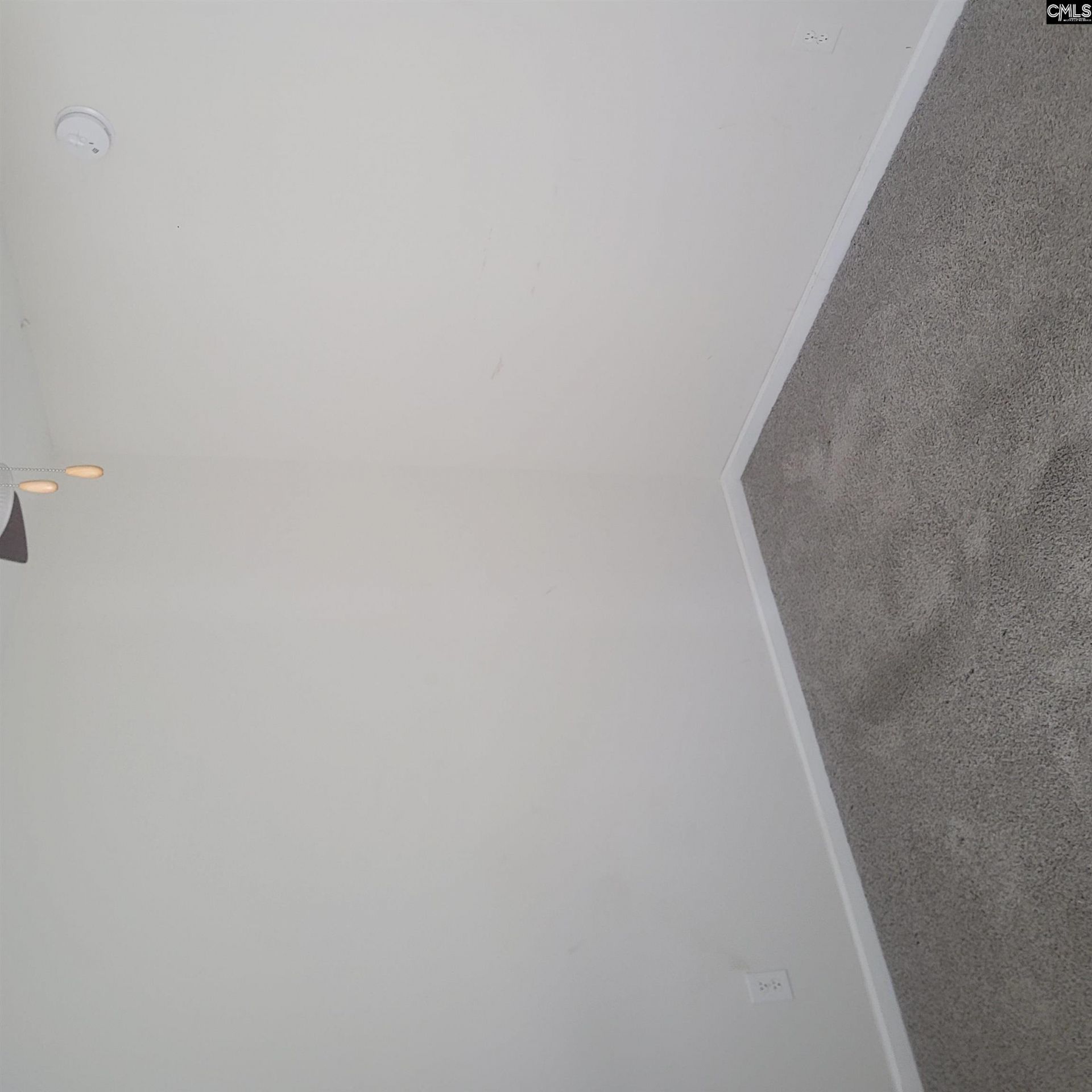 776 Blazing Star Trail Photo 16