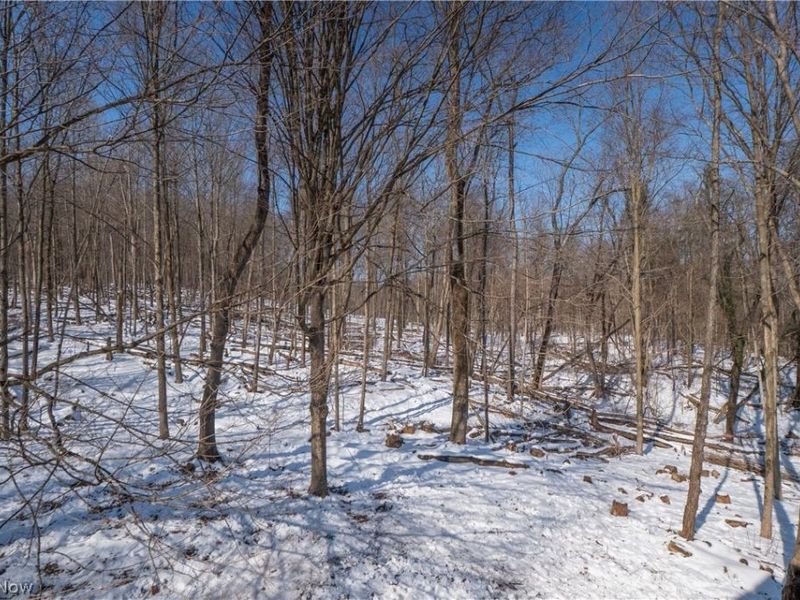 6984 River Styx Road, Medina, OH 44256 Photo 40