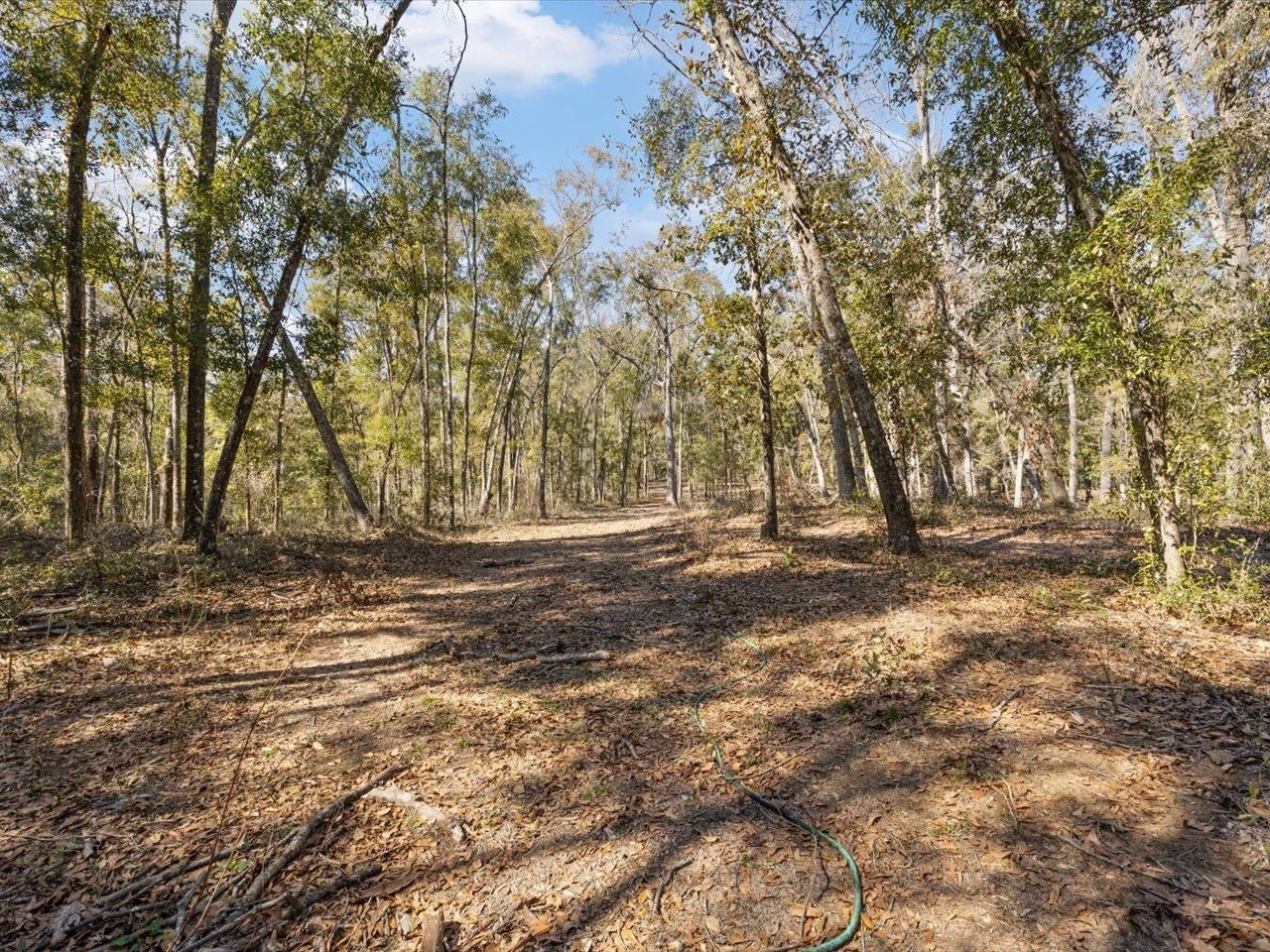 609 NW Circle Road , Madison, FL 32340 Photo